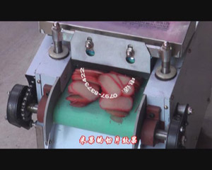 �๦���в˙C(j��)-���׹�Ƭ