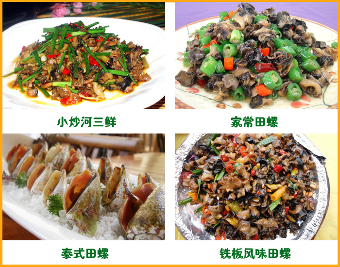 ��������������ʳ����������