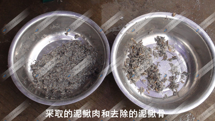 采泥鰍肉-泥鰍骨泥鰍皮對比圖-贛云機械