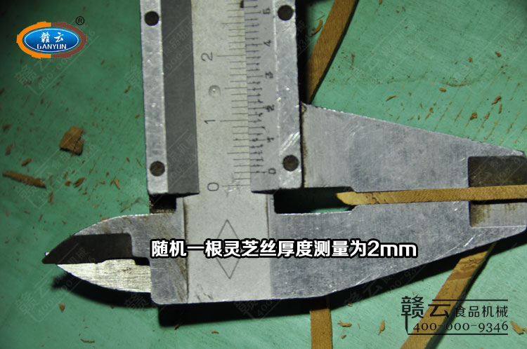 用游標卡尺測量靈芝絲的厚度