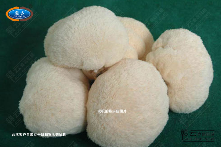 臺(tái)灣客戶(hù)自帶的猴頭菇圖