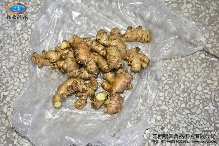 試機用本地生姜