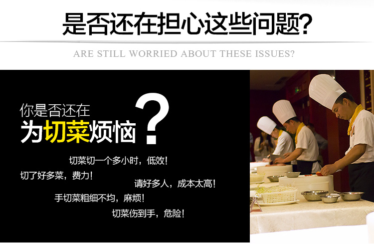 數(shù)字切菜機-115B型雙頭切菜機