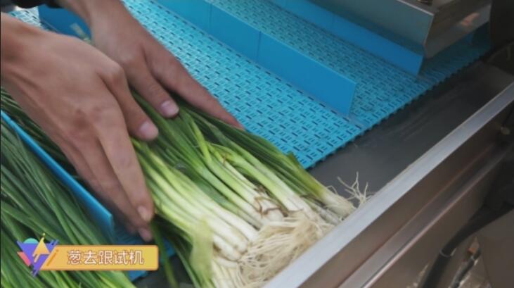 ݔ��ʽȥ���C(j��)