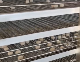 �ծa(ch��n)�f��