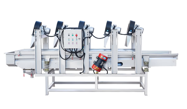 ��ʎ�L(f��ng)�əC(j��)