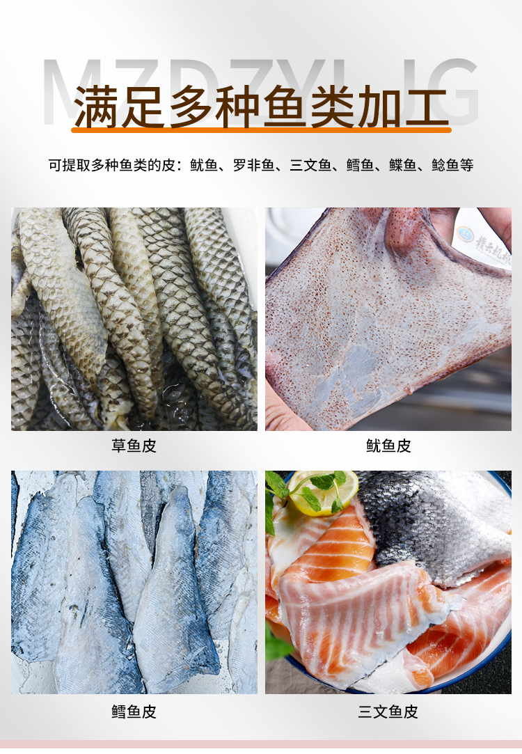 �M���N�~ӹ�